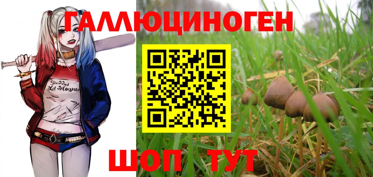 Галлюциногенные грибы GOLDEN TEACHER Волжск