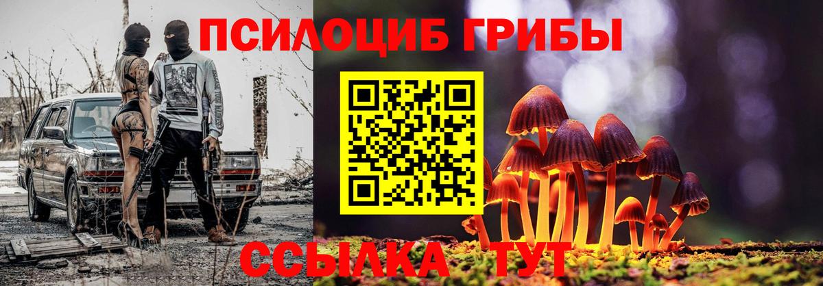 Псилоцибиновые грибы Psilocybine cubensis  купить закладку  Волжск  Вход с VPN  Псилоцибиновые грибы Magic Shrooms 
